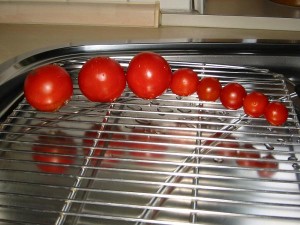 mein 10. Foto - die Tomatenreihe